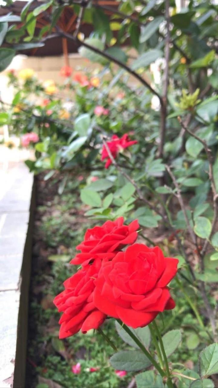 Villa Garza Inn Guayaquil Ngoại thất bức ảnh